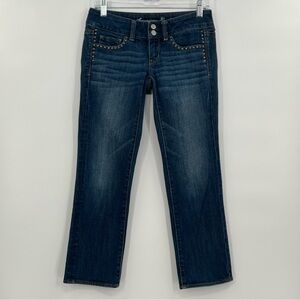 Size 2  American Eagle Artist jeans
